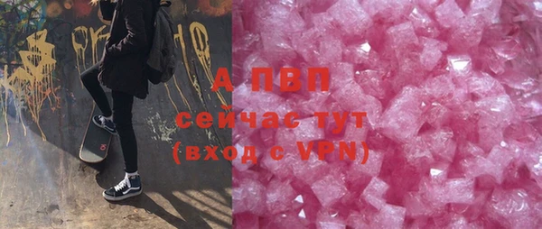индика Арсеньев