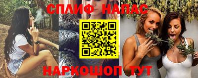 МДПВ Обь