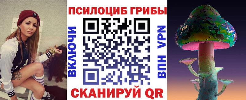 наркошоп Скопин Галлюциногенные грибы Psilocybe