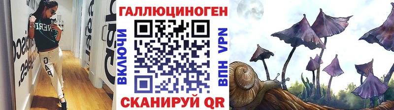 Псилоцибиновые грибы MAGIC MUSHROOMS Скопин