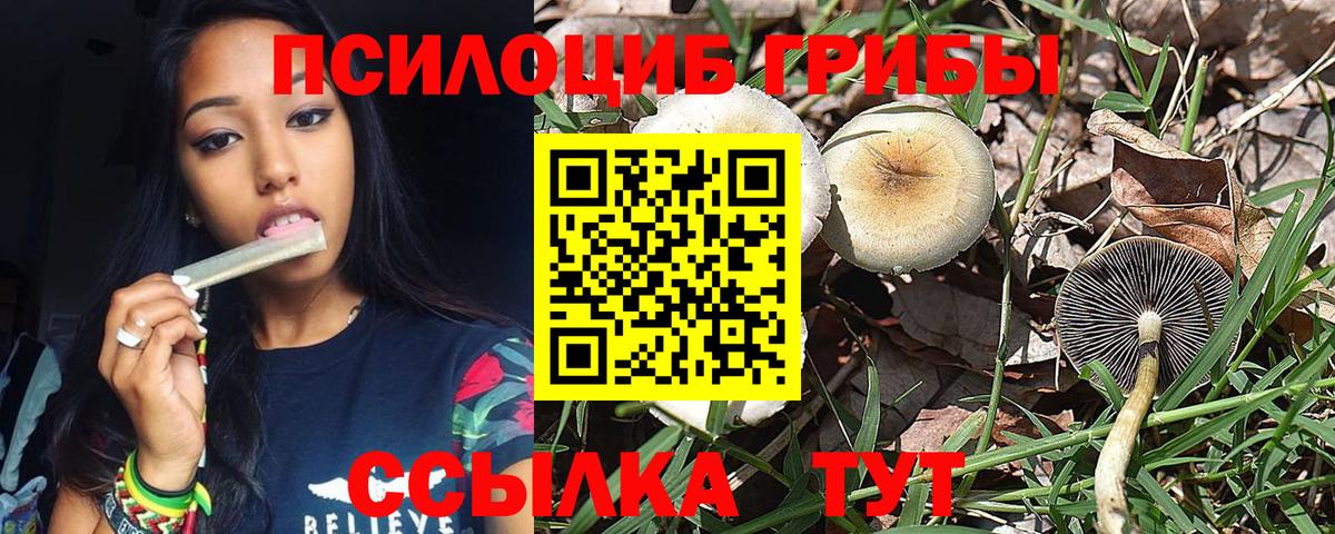 Галлюциногенные грибы GOLDEN TEACHER Скопин