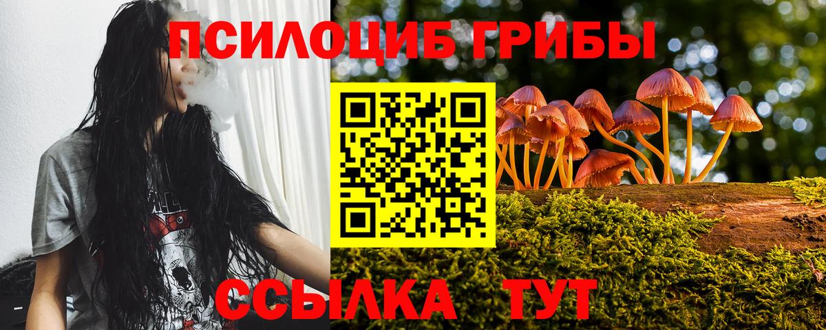 Галлюциногенные грибы GOLDEN TEACHER  Псилоцибиновые грибы Cubensis  Скопин  цена наркотик  Вход с VPN 